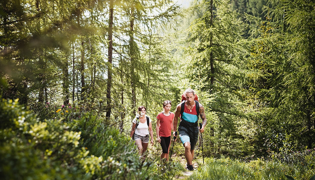 Sommer Gastein Sommer Gasteinertal Gastein